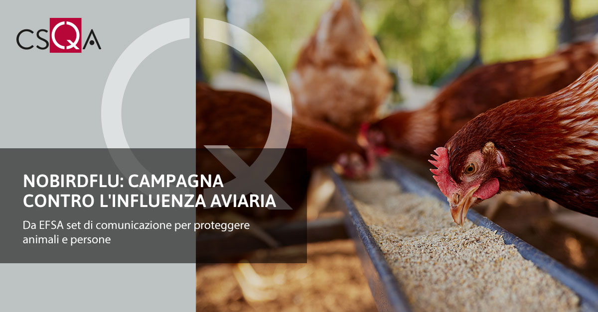 NoBirdFlu: Campaign against Avian Flu