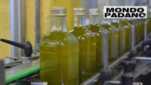 EVO Masterclass Project, Zucchi: Training young people is a strategic investment