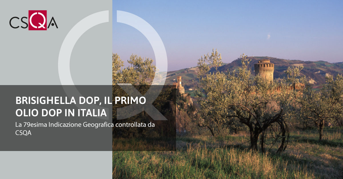 Brisighella PDO, the first PDO oil in Italy