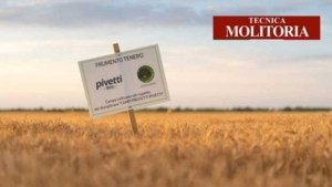 Molini Pivetti: Milling Excellence at the forefront