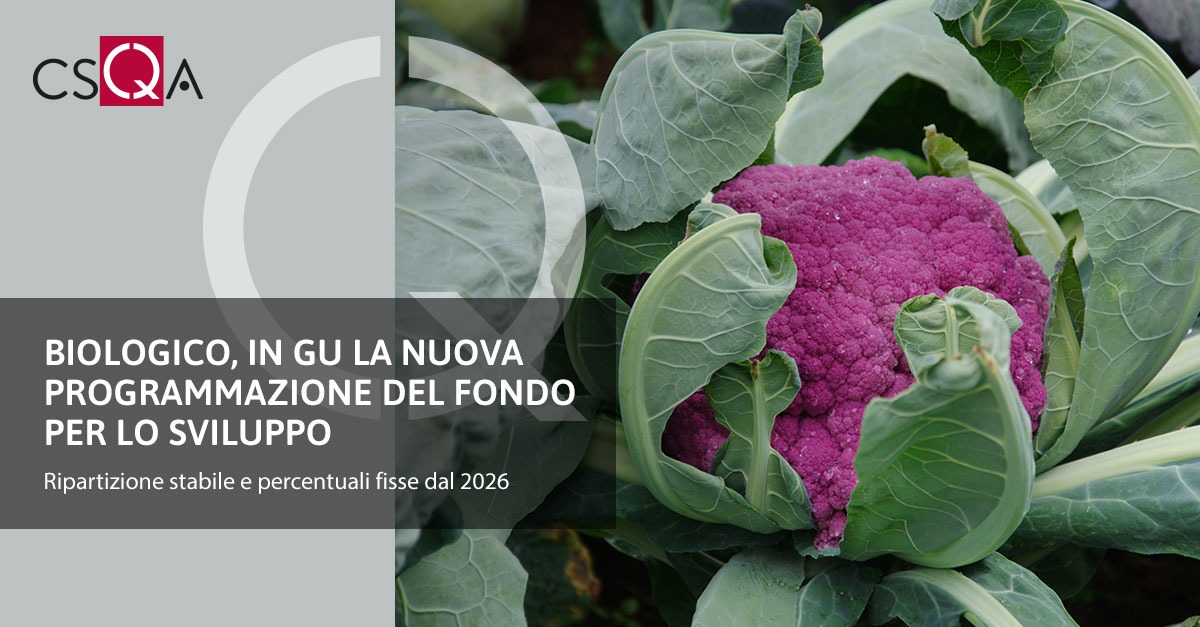 Organic, the new programming of the Development Fund in the Official Journal