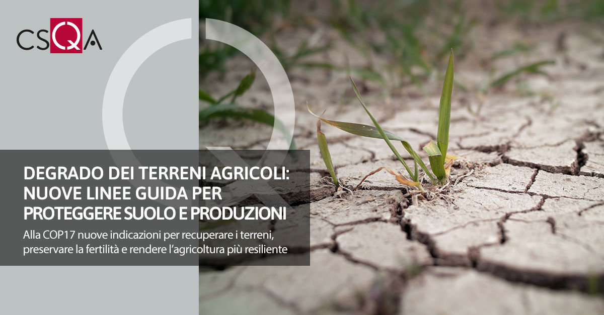 Degrado dei terreni agricoli: nuove linee guida per proteggere suolo e produzioni