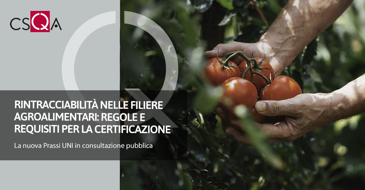 Rintracciabilità nelle filiere agroalimentari: Regole e requisiti per la certificazione 