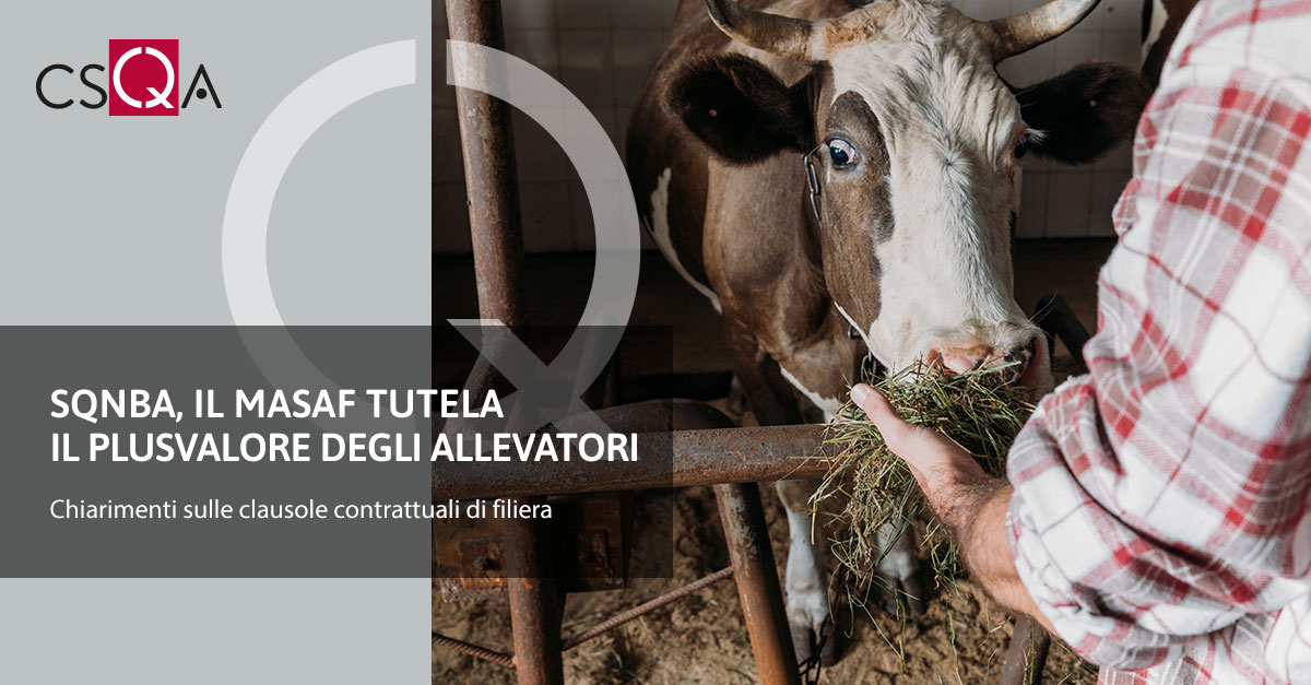 SQNBA, il Masaf tutela il plusvalore degli allevatori