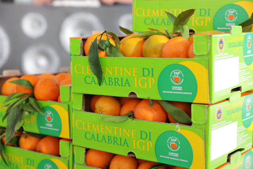 Calabrian Clementines PGI