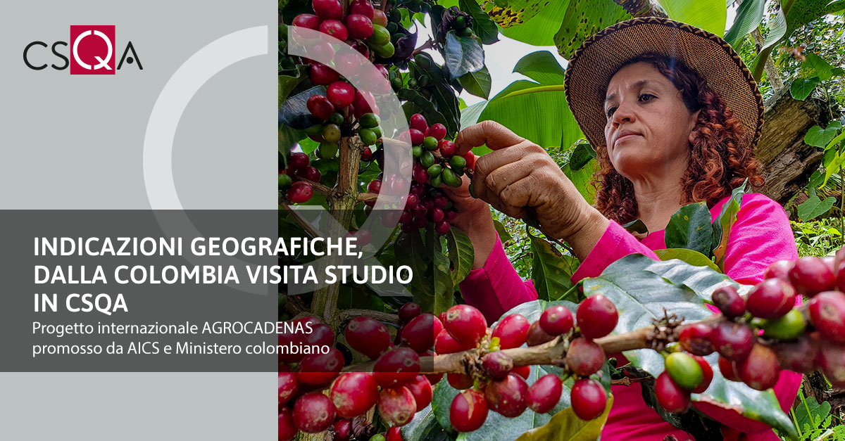 Geographical Indications: A Study Visit to CSQA from Colombia