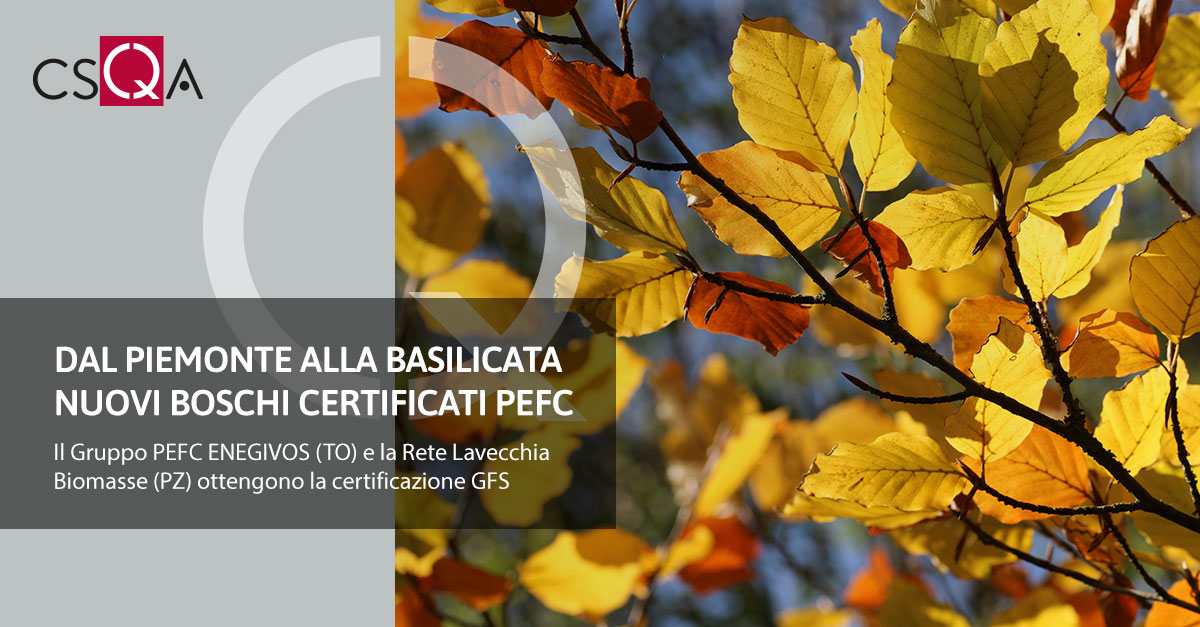 From Piemonte to Basilicata new PEFC certified forests