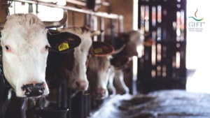 Benessere animale, le certificazioni disponibili in Italia e nel mondo