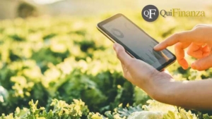 Is it worth selling carbon credits? The profits of carbon farming