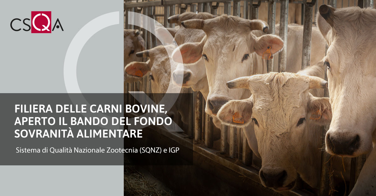 Filiera delle carni bovine, aperto il bando del Fondo sovranità alimentare
