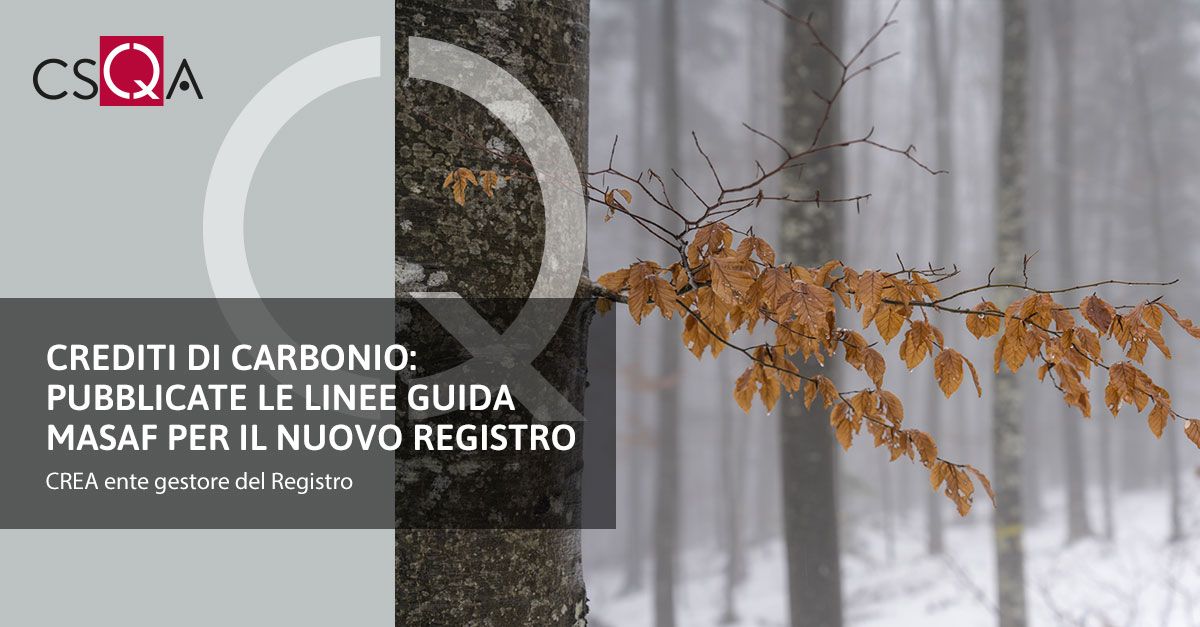 Crediti di carbonio: pubblicate le linee guida MASAF per il nuovo Registro nazionale