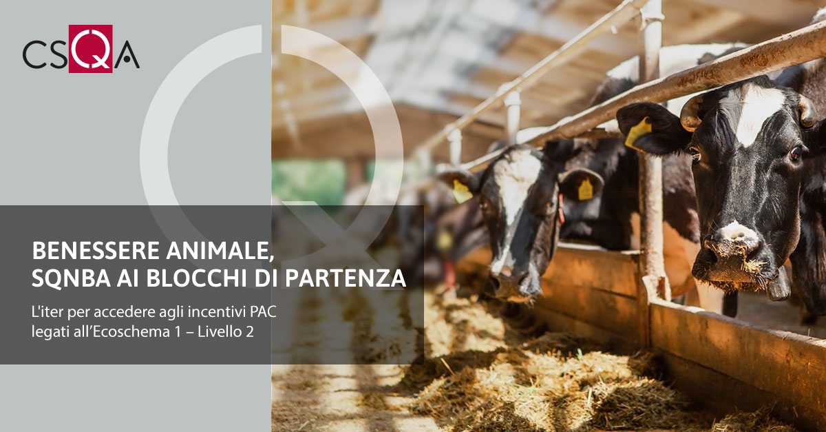 Benessere animale, SQNBA ai blocchi di partenza