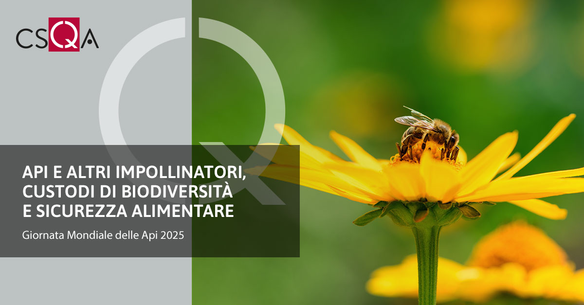 Api e altri impollinatori, custodi di biodiversità e sicurezza alimentare
