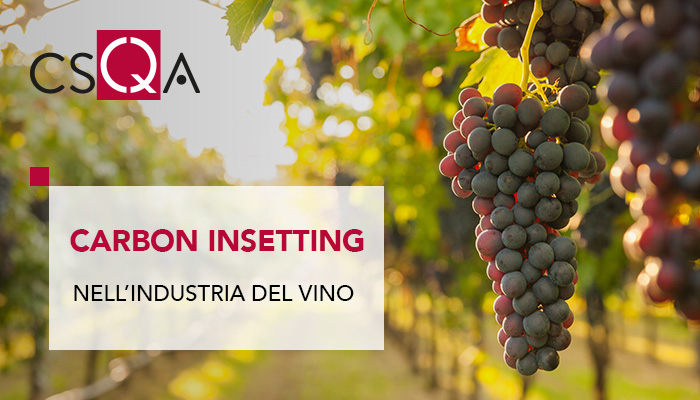 Carbon insetting nell'industria del vino