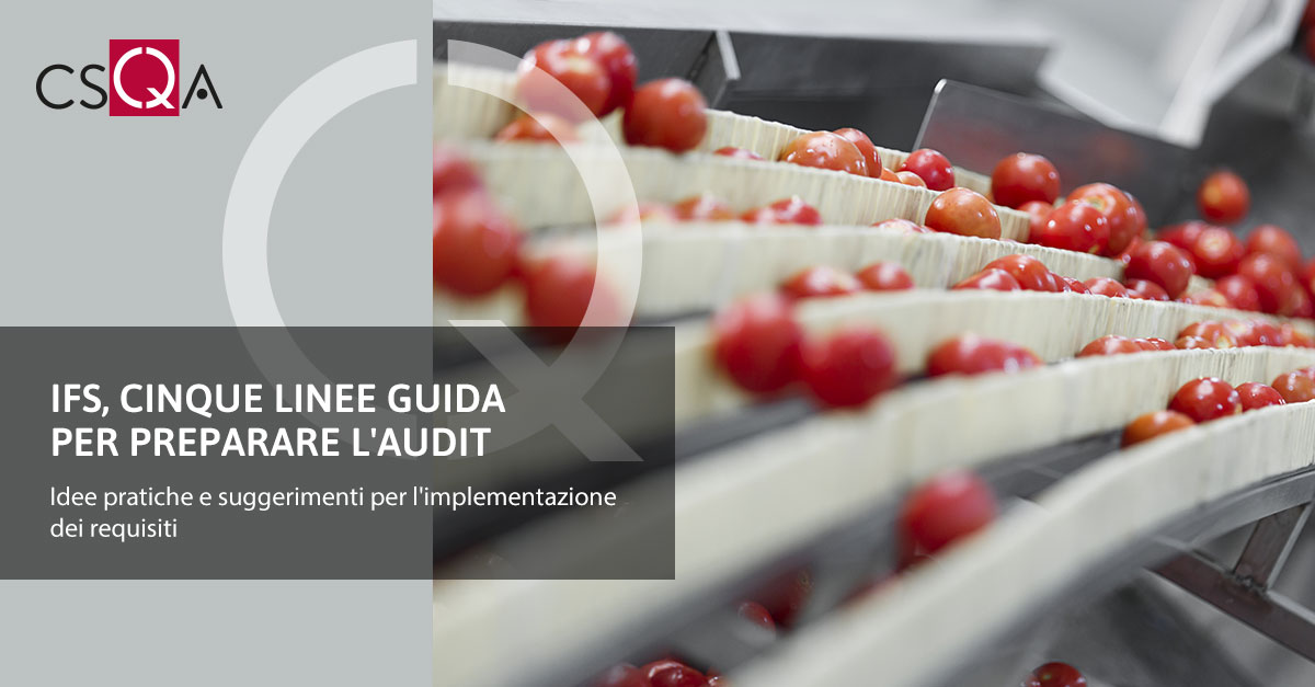 IFS: Five Guidelines for Preparing for an Audit