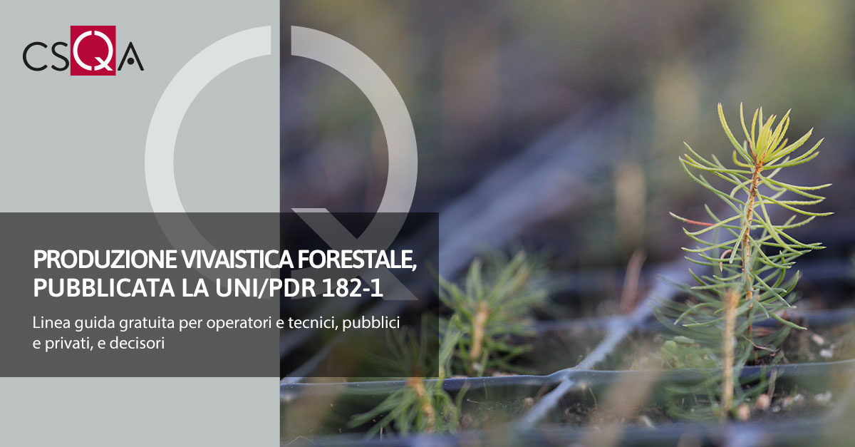 Forestry nursery production, UNI/PdR 182-1 published