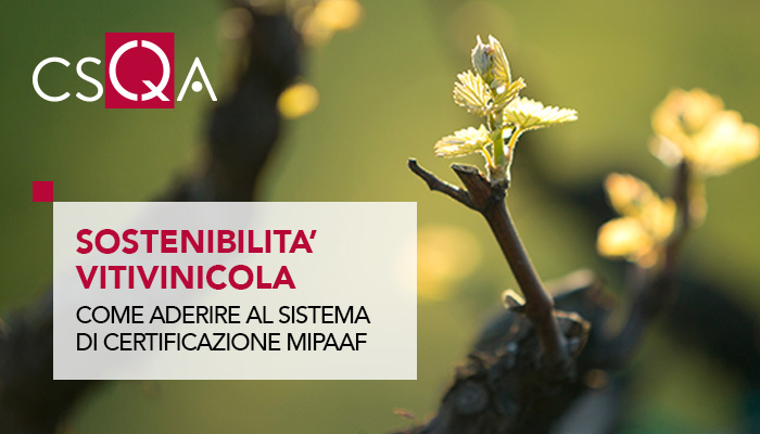 Sistema di certificazione della Sostenibilità della Filiera Vitivinicola