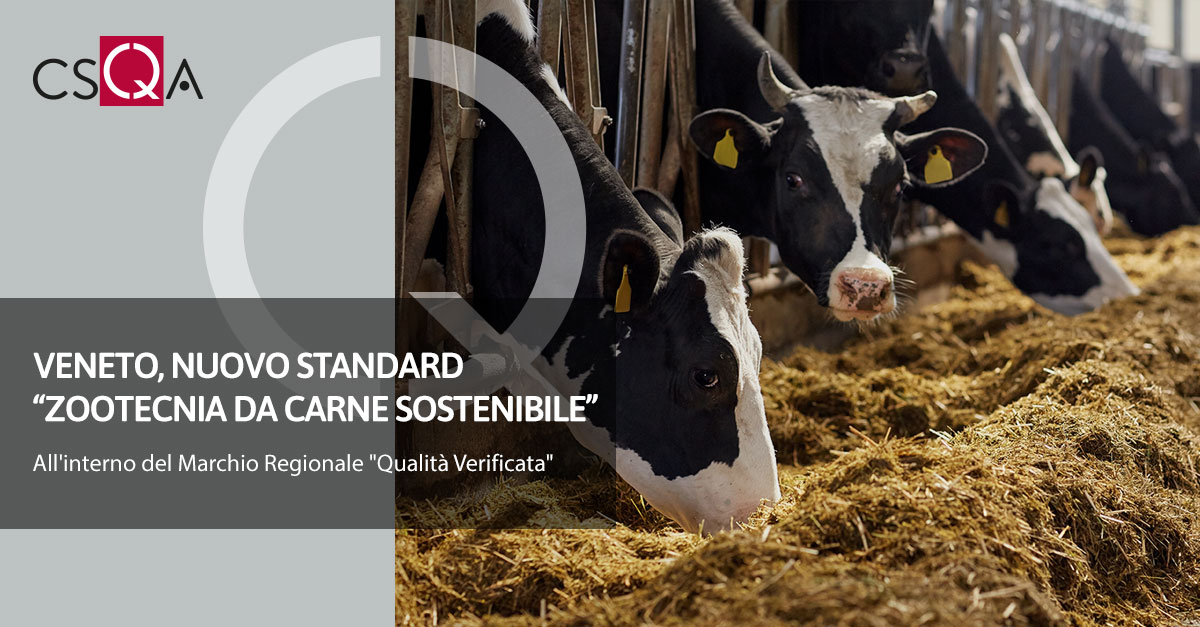 Veneto, nuovo standard “Zootecnia da carne sostenibile”