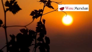 Four Diversity Ark-certified wineries: biodiversity at the heart of the vineyard