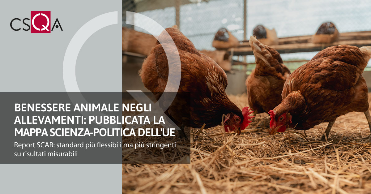 Benessere animale negli allevamenti: pubblicata la mappa scienza-politica dell'UE