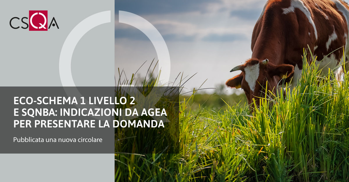 Eco-schema 1 livello 2 e SQNBA: indicazioni da Agea per presentare la domanda