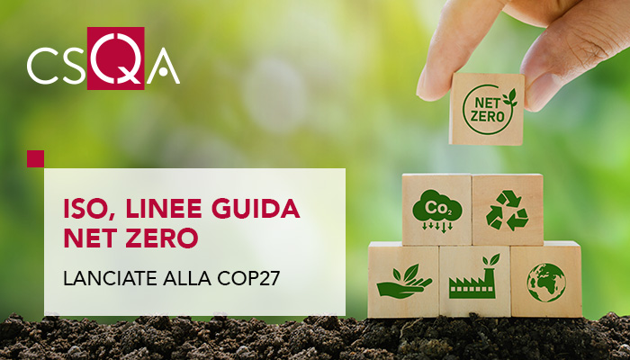 ISO, Linee guida Net Zero