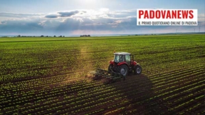 Carbon credits at the center of Coldiretti Rovigo's technical meeting