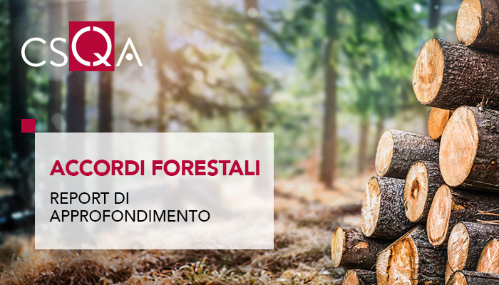 Gli Accordi di Foresta, Report di approfondimento