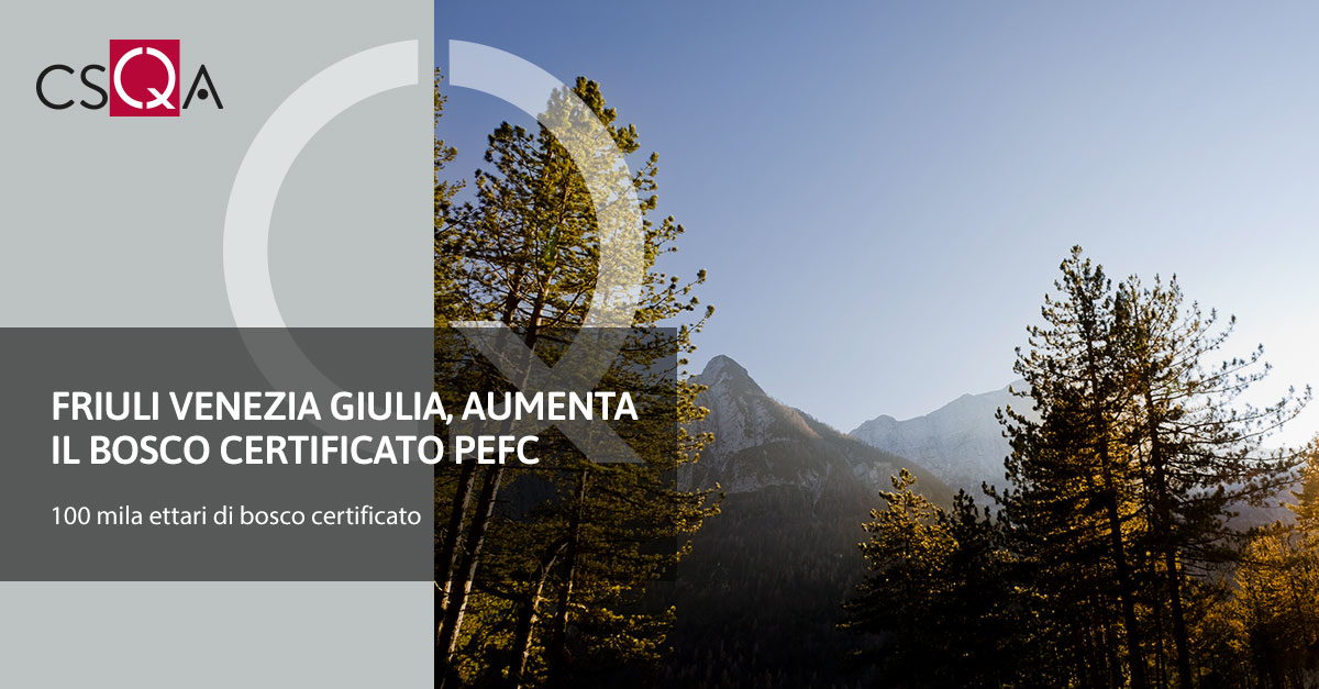 Friuli Venezia Giulia, aumenta il bosco certificato PEFC