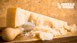 Il futuro del lattiero-caseario: aI via incontri dedicati ai cda