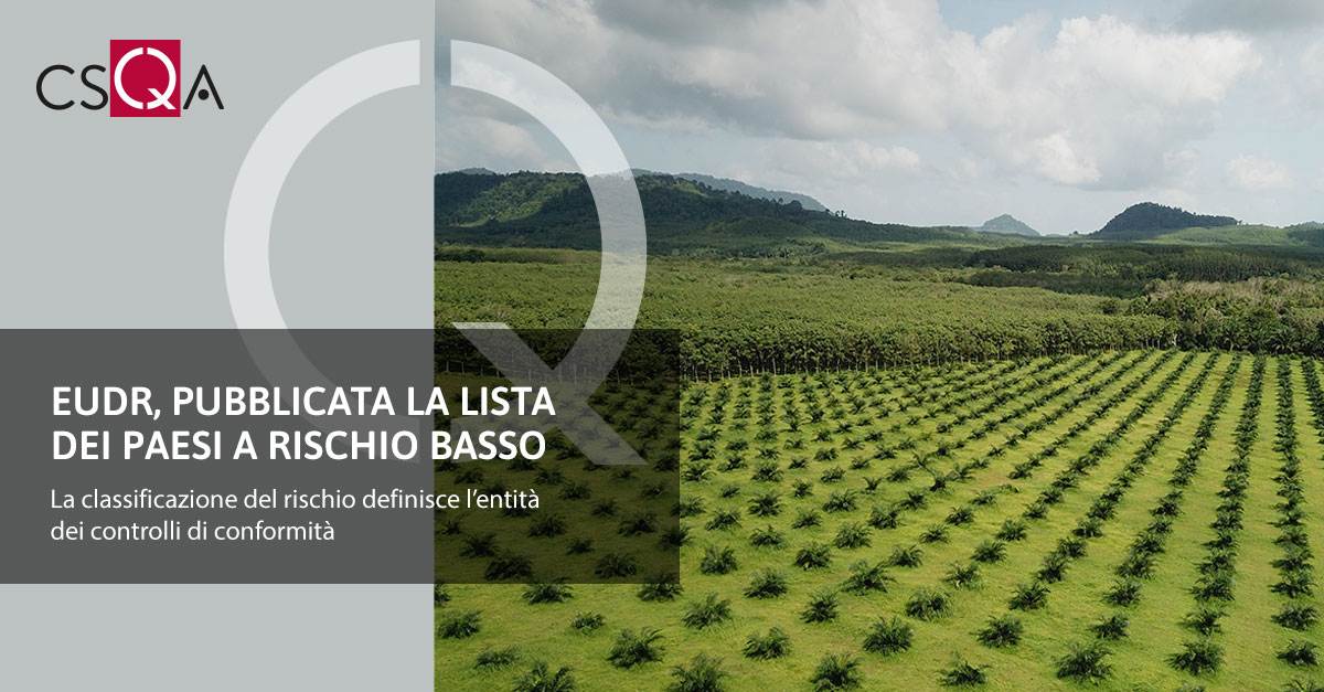 EUDR, pubblicata la lista dei Paesi a rischio basso
