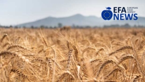 Molini Pivetti: 10 Years of "Protected Fields"