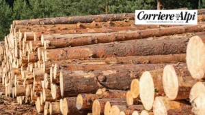Veneto Wood Consortium: an area of high landscape and environmental value.