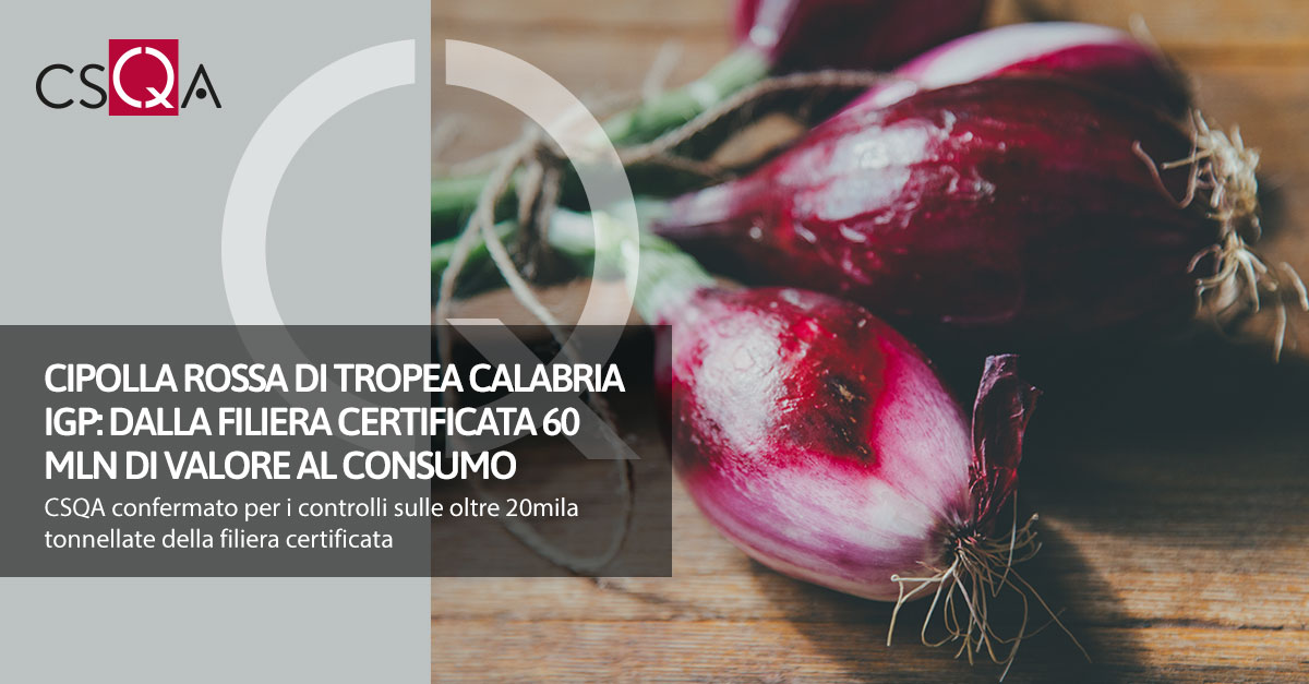Tropea Calabria PGI Red Onion: 60 million consumer value from the certified supply chain