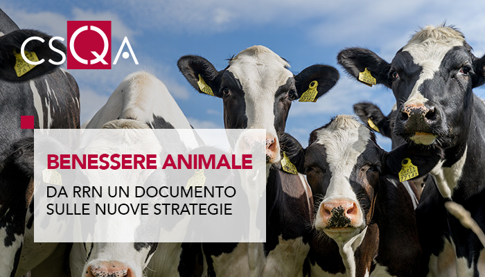 Benessere animale, 600 milioni dal PSP 2023-27