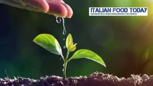 Sicurezza alimentare e formazione: i pilastri dell’eccellenza del Made in Italy