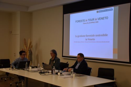 foreste-2.JPG