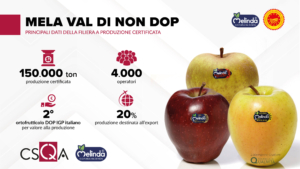 Mela Val di Non DOP, una mela su cinque all’estero