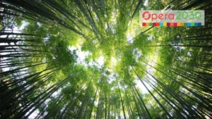 Verde urbano, l’eccellenza del Parco Nord Milano