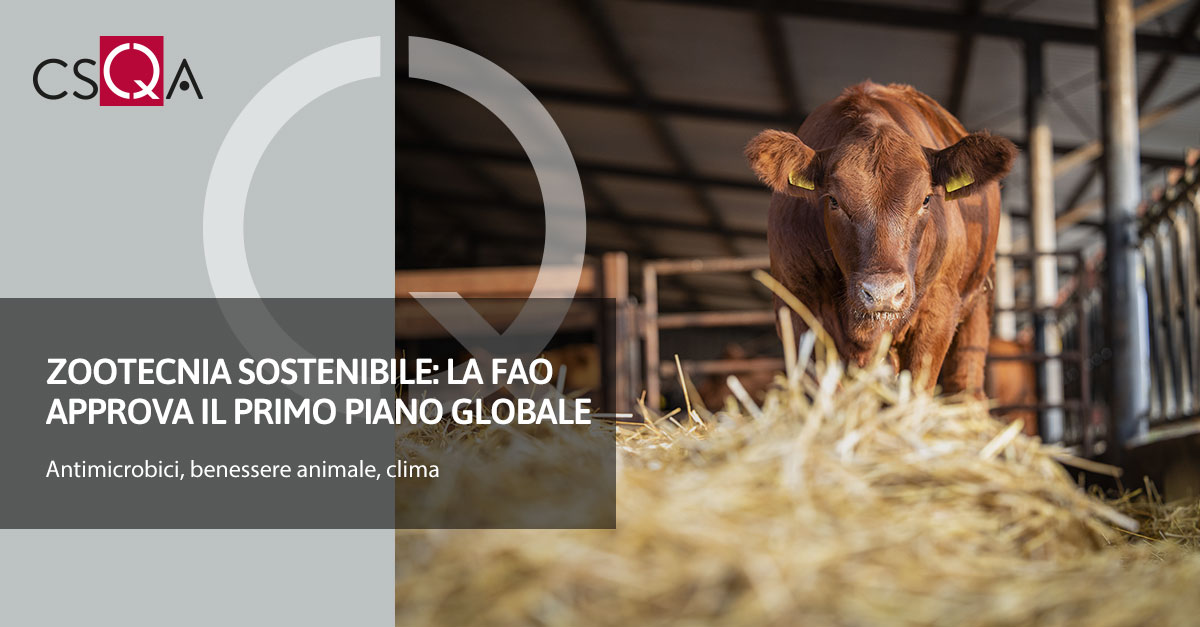Sustainable livestock farming: FAO approves first global plan