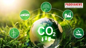 I crediti di carbonio al centro dell’incontro tecnico del 4 marzo