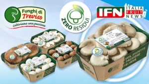 O.P. Consorzio Funghi di Treviso: Residuo Zero, leva strategica per la Gdo