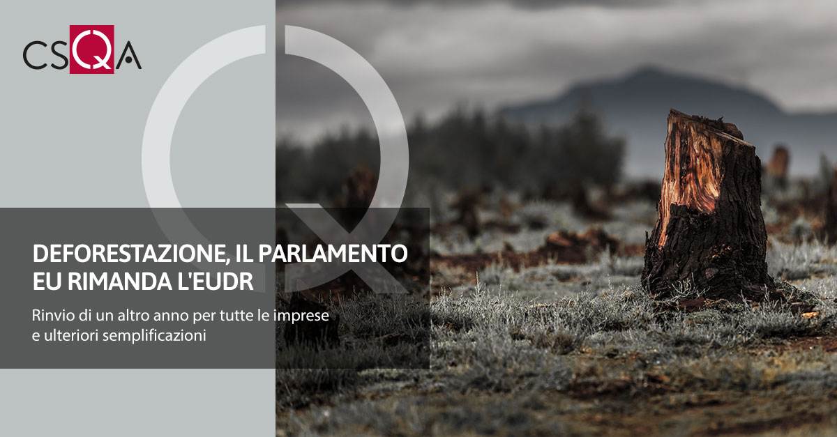 Deforestazione, l'Europarlamento rimanda l'EUDR