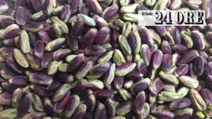 Pistacchio di Raffadali DOP: iI frutto più prezioso di un territorio e un clima unico