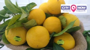 Reggio Calabria Bergamot: With PGI certification, it joins the European PDO Economy.