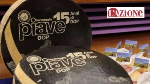 Piave DOP cheese is going strong