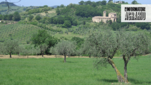 Made green in Italy: certified sustainability