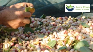 IPZS e il Pistacchio di Raffadali DOP: passaporto digitale con QR Code