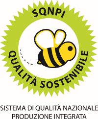 Logo_SQNPI_def-(1).jpg Logo_SQNPI_def-(1).jpg