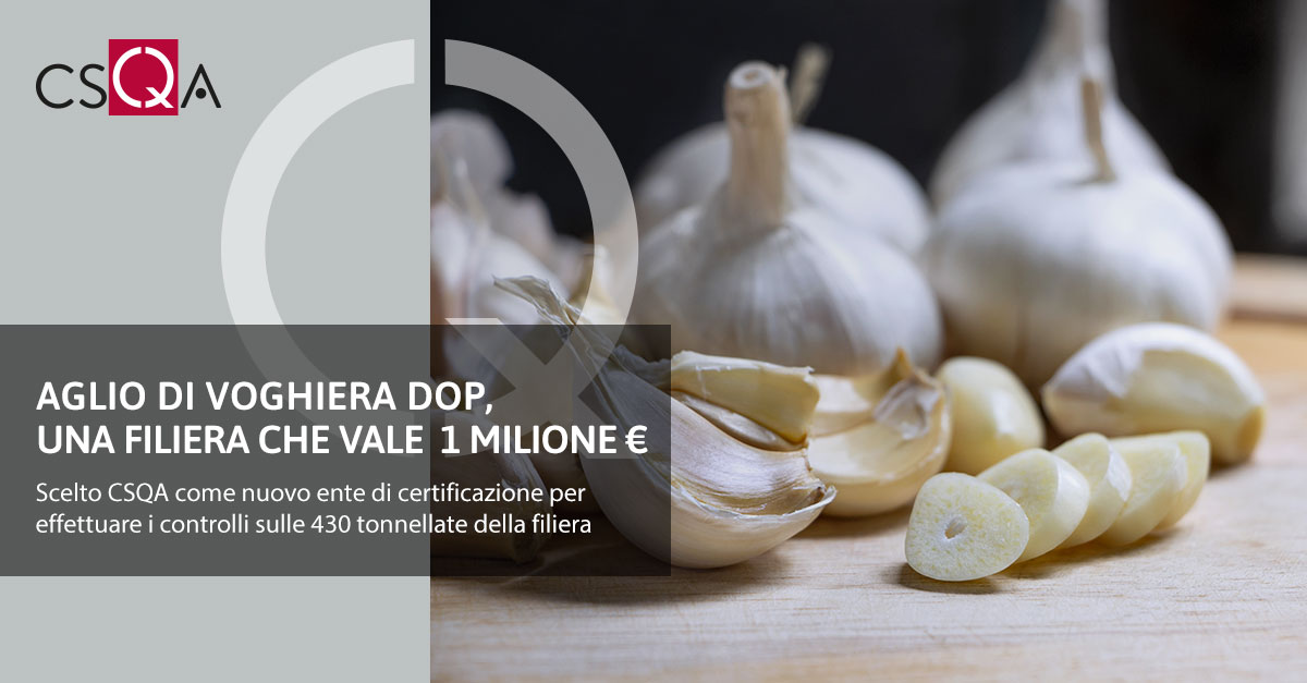 Aglio di Voghiera DOP, una filiera che vale 1 milione di euro